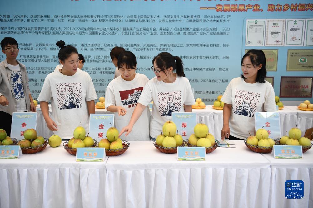 巨宏国际下载